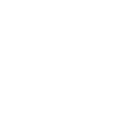 Logo 515 b